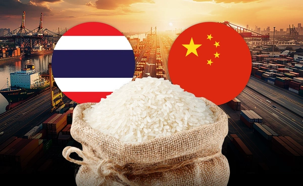 "ไทย" เตรียมส่งข้าวให้ "จีน" ล็อตแรก 40,000 ตัน วางเป้าทั้งปี 5 แสนตัน สะท้อนสัมพันธ์แน่น