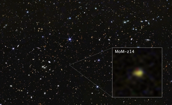 กล้องโทรทรรศน์อวกาศเจมส์ เวบบ์ ค้นพบ MoM-z14 กาแล็กซีที่ไกลและเก่าแก่ที่สุด ย้อนมองจักรวาลยุคกำเนิด