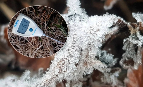 ดอยอินทนนท์หนาวยะเยือก! อุณหภูมิยอดหญ้าติดลบ 6.1 องศาฯ 