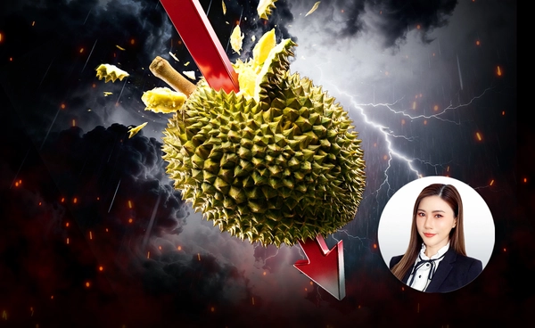หมดยุค "ทุเรียน" แพง? ไทยเสี่ยงราคาหลุด 100 บาทต่อกิโลกรัม 2 ปีซ้อน อาเซียนรุมแข่งเดือด "ส่งออก" ตลาดจีน 