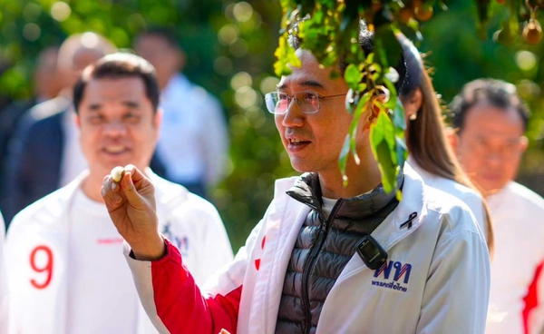 “ยศชนัน” แคนดิเดตนายกฯ พรรคเพื่อไทย ลงพื้นที่สวนลำไย พบปะเกษตรกรพร้อมรับฟังปัญหา