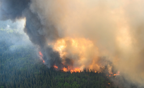 เส้นตาย 1.5 องศา!  วิจัยเตือนเขตร้อนอาจล่มสลาย  ถ้าโลกร้อนเกินจุดนี้