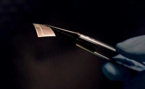 สหรัฐฯ พัฒนา แสตมป์ฝังสมอง คุยกับ AI เปิดทางฟื้นฟูผู้ป่วยโรคทางระบบประสาท