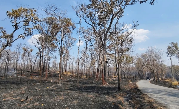 ระดมกำลัง 200 นาย  ดับไฟป่าสะแกราช