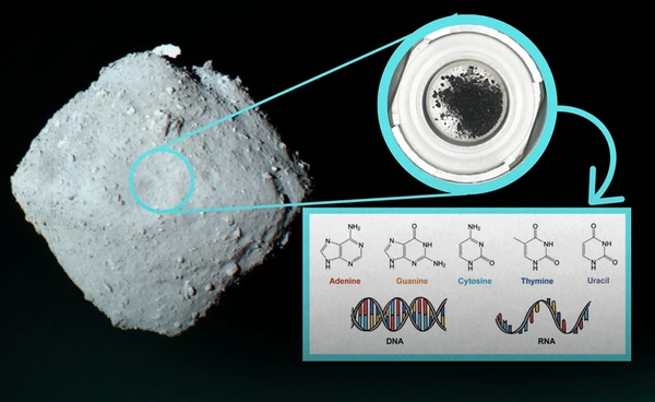 เปิดหลักฐานจักรวาล ดาวเคราะห์น้อย Ryugu พบองค์ประกอบ DNA-RNA ครบชุด  