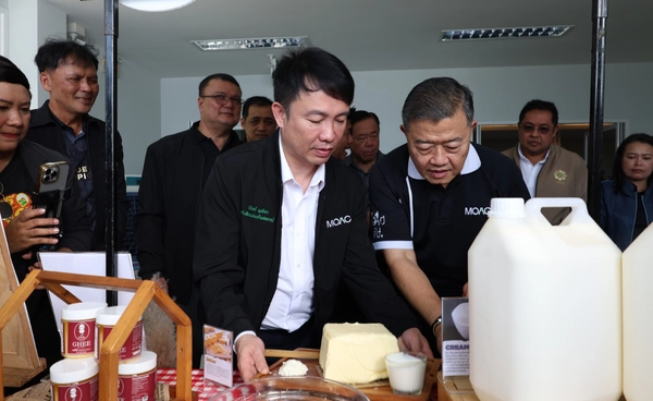 สหกรณ์โคนมกำแพงแสน เตรียมทุ่มงบสร้างโรงผลิตนมผง ดึงน้ำนมดิบส่วนเกินแปรรูป