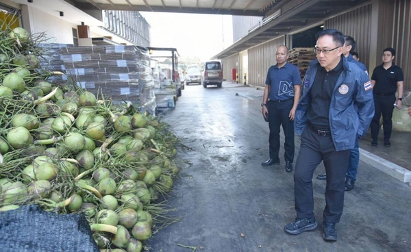 กรมพัฒน์ ลงตรวจราชบุรี แก้มะพร้าวน้ำหอมตกต่ำ เร่งสอบ" นอมินี "คุมเกมตลาด