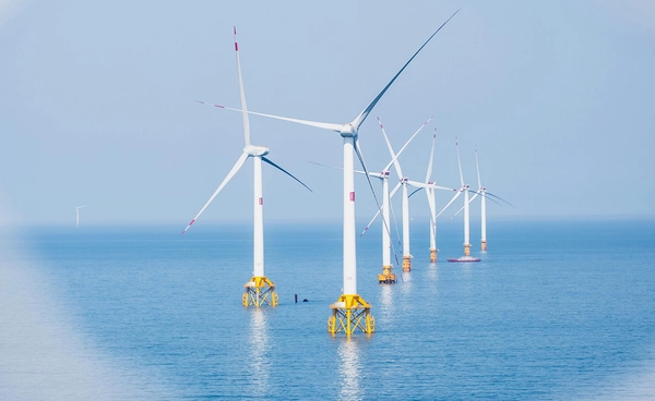 พบฟาร์มกังหันลมนอกชายฝั่งกลางทะเล นอกจากผลิตไฟฟ้าแล้ว ยังเป็นแหล่งคุ้มครองสัตว์น้ำด้วย