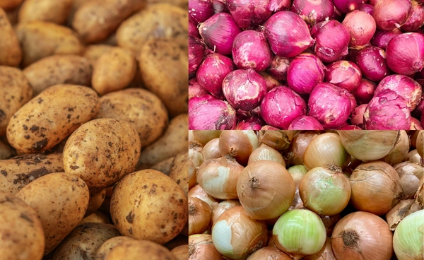 เห็นชอบการบริหารการนำเข้าเมล็ดพันธุ์ "หอมใหญ่-มันฝรั่ง"