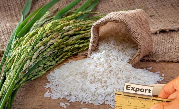 ศึกหนัก “ข้าวไทย” ภาษี-บาทแข็ง ฉุดส่งออก