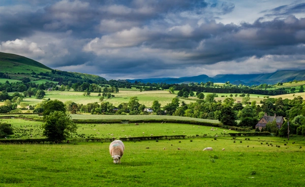“อังกฤษ” หั่นงบช่วยโลกร้อน สะเทือนกองทุนป่าและทะเล โครงการอนุรักษ์ครั้งใหญ่ส่อสะดุด!