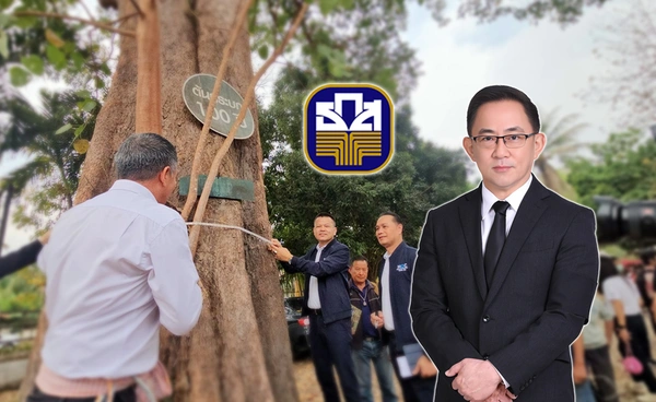 "พาณิชย์"หนุนเปลี่ยนไม้ยืนต้นให้กลายเป็นเงิน 