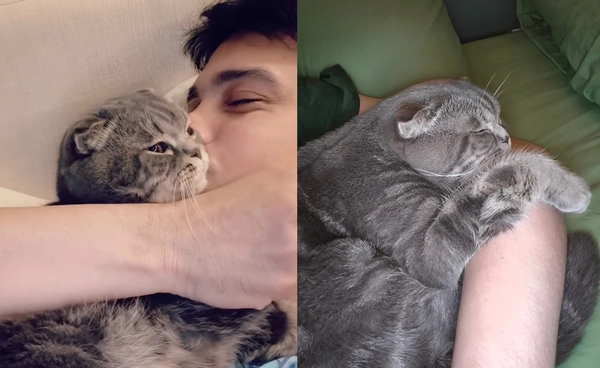 ทาสแมวแห่ส่งกำลังใจ "ซันนี่ สุวรรณเมธานนท์" หลังแมวสุดที่รักกลับดาว 