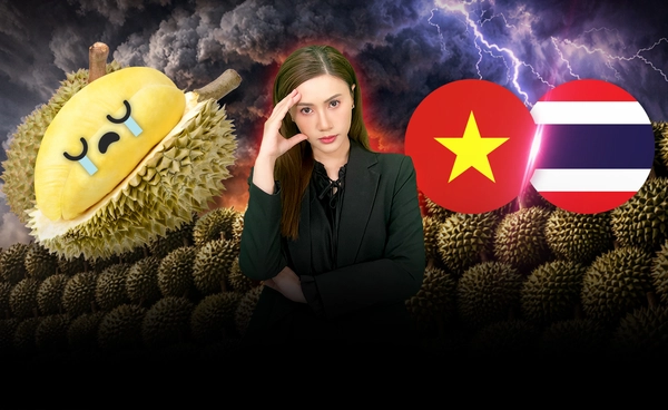 วิกฤต "ทุเรียนไทย" ราคาดิ่งยาว "ทุเรียนเวียดนาม" ปาดหน้ายึดตลาดจีน