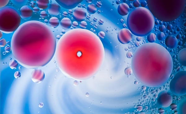 งานวิจัยชี้ "เม็ดเลือดแดง" ตัวช่วยลับ ในการลดน้ำตาล และต้านเบาหวาน