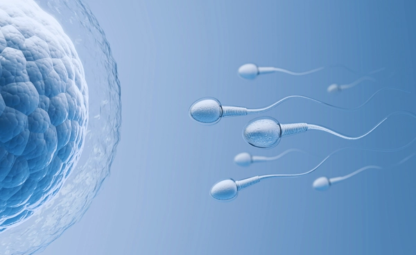 ผู้ชายมีลูกตอนอายุมาก เสี่ยงลูกจะเป็นออทิสติก เนื่องจากการเปลี่ยนโครงสร้างของอสุจิ