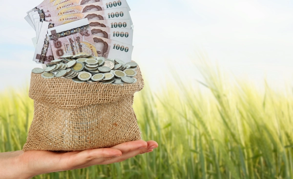 "แก้จน-พยุงสินค้าเกษตร" งานหินรัฐบาลใหม่