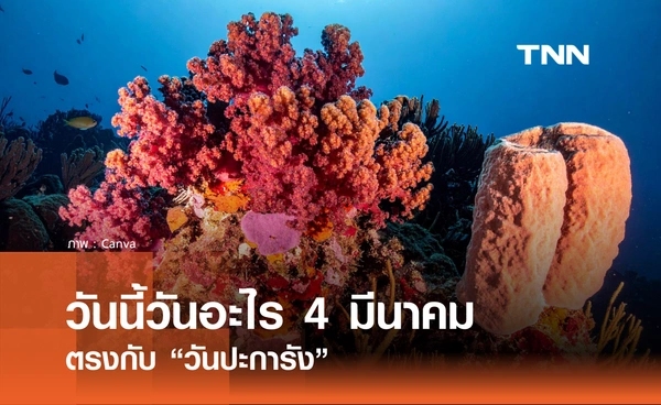 วันนี้วันอะไร วันที่ 4 มีนาคม 2569 ตรงกับ “วันปะการัง”