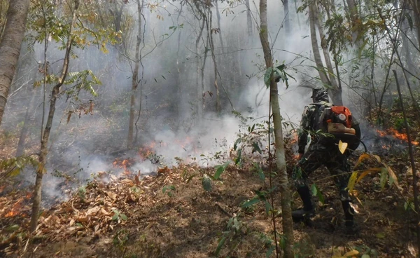 เจ้าหน้าที่คุมไฟป่า อุทยานฯ แจ้ซ้อน ได้สำเร็จ พบเสียหายกว่า 400 ไร่