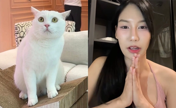 “ไข่ขาว” กลับดาวแมวเพราะอะไร? “คุณพลอย” เคลียร์ชัดเปิดเผยสาเหตุการตาย