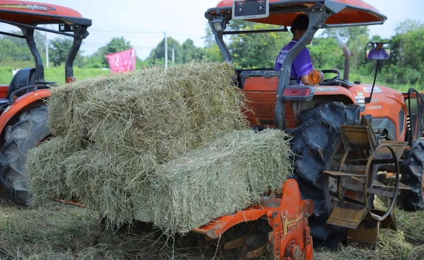 “Green Gain Day” องค์ความรู้ทดแทนการเผาพื้นที่เกษตร