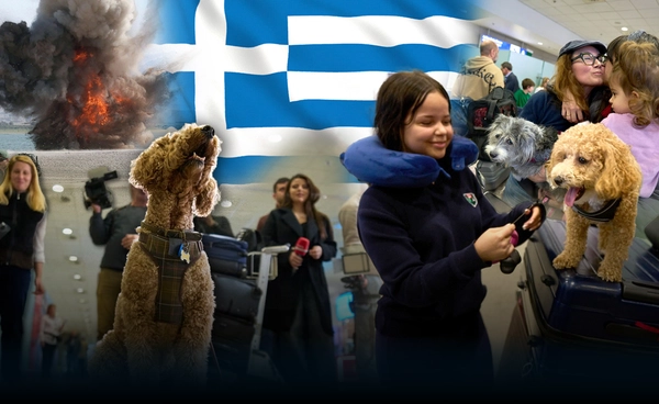 กรีซจัดเที่ยวบินอพยพ "สัตว์เลี้ยง" หนีสงครามตะวันออกกลาง