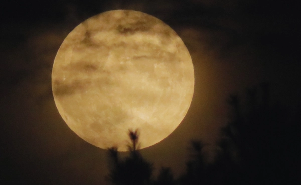 เพราะอะไร เมื่อเรามองท้องฟ้า ดวงจันทร์ ถึงทำให้เรามีความสุขขึ้นได้?