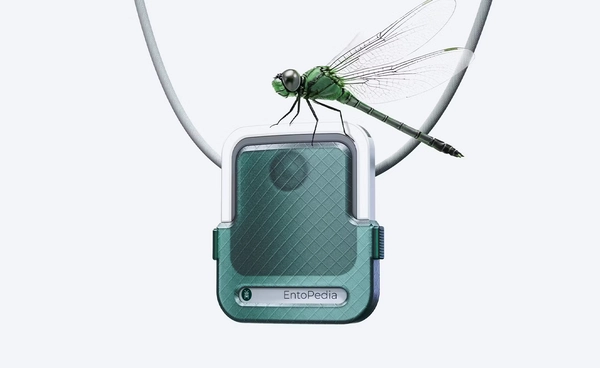  EntoPedia กล้องถ่ายแมลงแบบพกพา เก็บภาพแมลงได้แบบเรียลไทม์