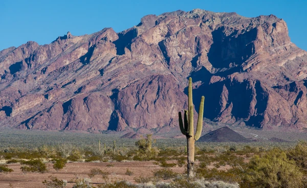 “แอริโซนา” ร้อนผิดฤดู ทุบสถิติ 43°C ในเดือนมี.ค. ปกติควรเกิดขึ้นในเดือนพ.ค.