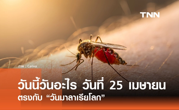 วันนี้วันอะไร วันที่ 25 เมษายน 2569 ตรงกับ "วันมาลาเรียโลก" (World Malaria Day)