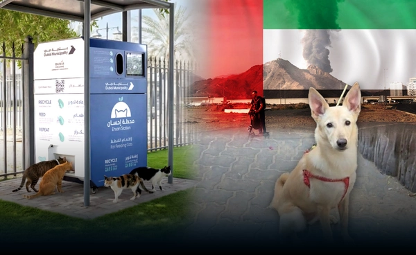 "สัตว์เลี้ยงนับพัน" ถูกทิ้งในดูไบ เจ้าของหนีภัยสงคราม