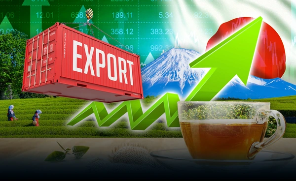 "ชาเขียว" ขายดีทั่วโลกดันส่งออกญี่ปุ่นทำนิวไฮ 1.7 ล้านล้านเยน