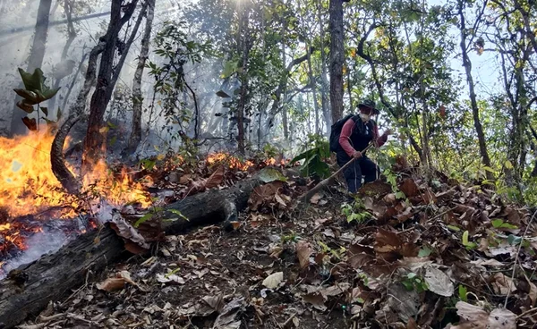 ไฟป่าดอยสะเก็ด พบเสียหายกว่า 45 ไร่ คาดเกิดจากลักลอบเข้าไปหาของป่า