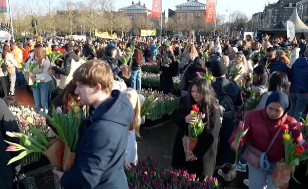 เนเธอร์แลนด์เปิดฤดูกาลดอกทิวลิป