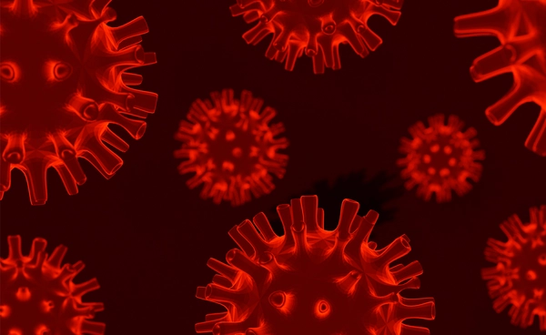 ไวรัสนิปาห์ คืออะไร? รู้จักโรคอุบัติใหม่อัตราเสียชีวิตสูง ยังไม่มียารักษา