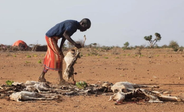 วิกฤตภัยแล้งถล่มแอฟริกา 25 ล้านชีวิตเสี่ยงอดอาหาร น้ำสะอาดเริ่มหมด