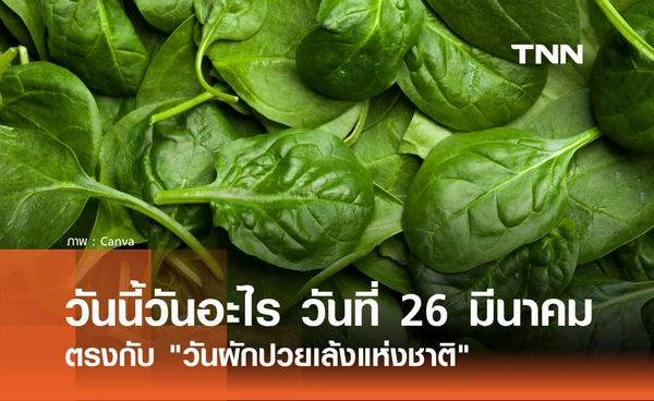 วันนี้วันอะไร วันที่ 26 มีนาคม 2569 ตรงกับ "วันผักปวยเล้งแห่งชาติ" (National Spinach Day)