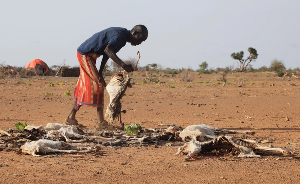 “แอฟริกา” แบกรับหนัก เรียกร้องทั่วโลกช่วยสู้ “โลกร้อน” ชี้ตนปล่อยคาร์บอนแค่ 4%