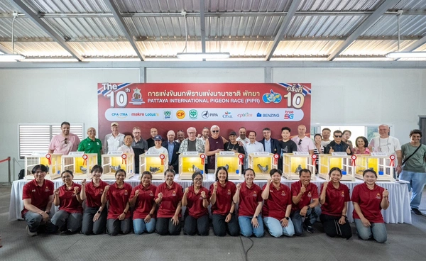 พัทยาคึกคัก! นกพิราบจากคูเวตซิวแชมป์โลก การแข่งขันนกพิราบแข่งนานาชาติพัทยา ครั้งที่ 10