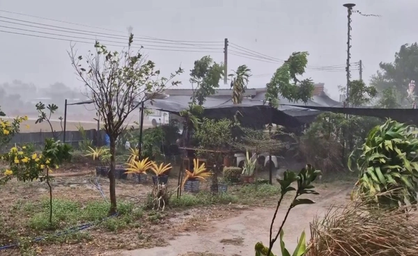 พายุฤดูร้อนถล่ม “นครราชสีมา” กระทบหลายอำเภอ