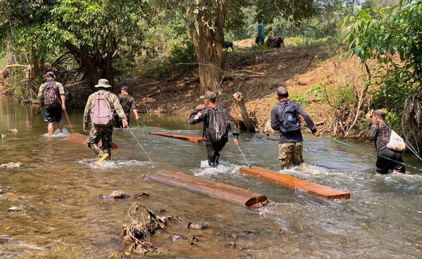 "สุชาติ" สั่งขยายผลขบวนการแปรรูปไม้​ 