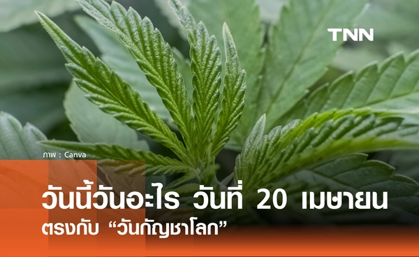 วันนี้วันอะไร วันที่ 20 เมษายน 2569 ตรงกับ "วันกัญชาโลก" (World Cannabis Day)