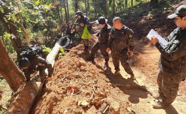 "สุชาติ" สั่งด่วนตั้งกก.สอบปมลักลอบตัดไม้ - ทำถ.ป่าแม่ยวม ขีดเส้น 3 วันต้องรู้ผล