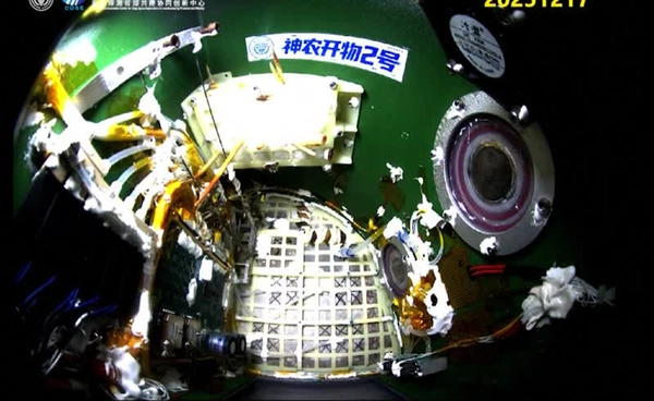 จีนเผยภาพ “ผีเสื้อ” สลัดดักแด้โบยบินบนอวกาศ สัญญาณบวกตั้งถิ่นฐานนอกโลก