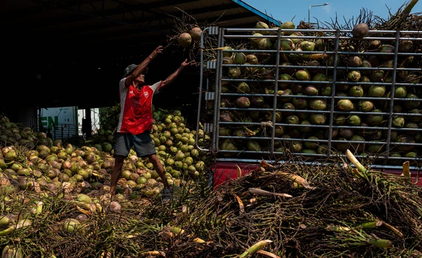 ปอกเปลือกขบวนการนอมินี ทลาย "ล้งจีน" กินรวบวงจรต้นน้ำยันปลายน้ำ