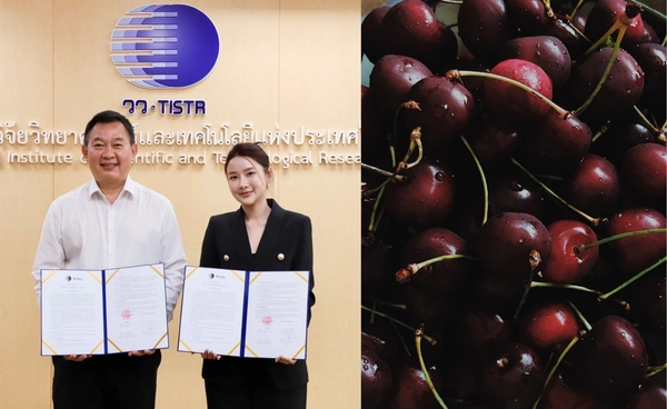 ชูผลิตภัณฑ์จาก “เชอรี่ดอย” สู่การใช้ประโยชน์เชิงพาณิชย์