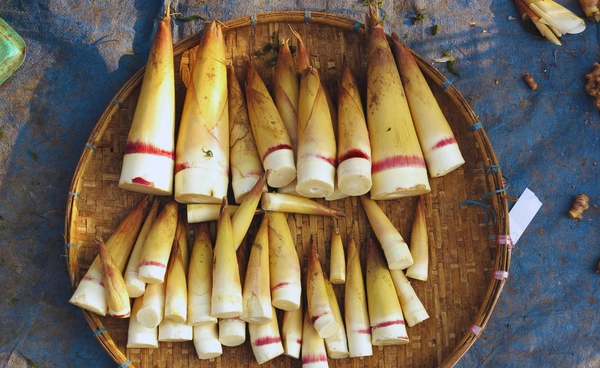 นักวิทยาศาสตร์ชี้ “หน่อไม้” อาจเป็นซูเปอร์ฟู้ดตัวใหม่ ดีต่อลำไส้ - หัวใจ