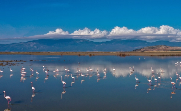 2 ก.พ. “วันพื้นที่ชุ่มน้ำโลก”  ระบบนิเวศสำคัญที่หล่อเลี้ยงสรรพชีวิต