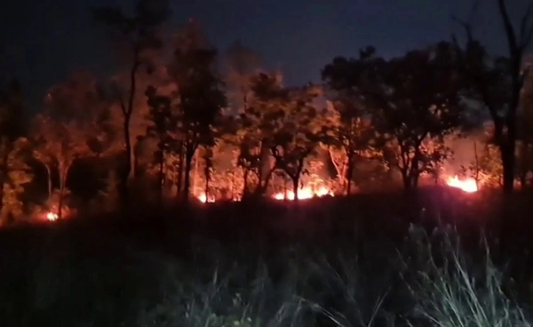 ไฟป่า “เชียงใหม่”  เผาผลาญดอยเต่าเสียหาย 50 ไร่