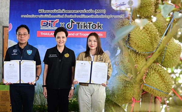 "พาณิชย์" ดันทุเรียนคุณภาพ จับมือ TikTok หนุนส่งออกเพิ่ม
